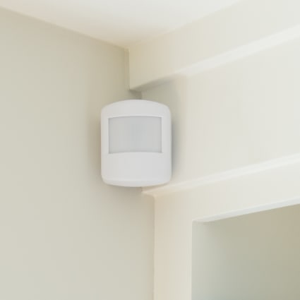 Lakeland motion sensor